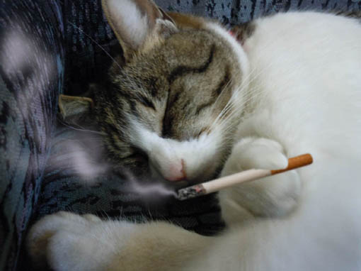 寝たばこコブチ.jpg