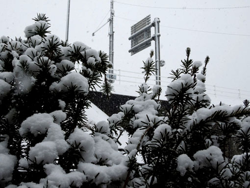 雪の高架.jpg